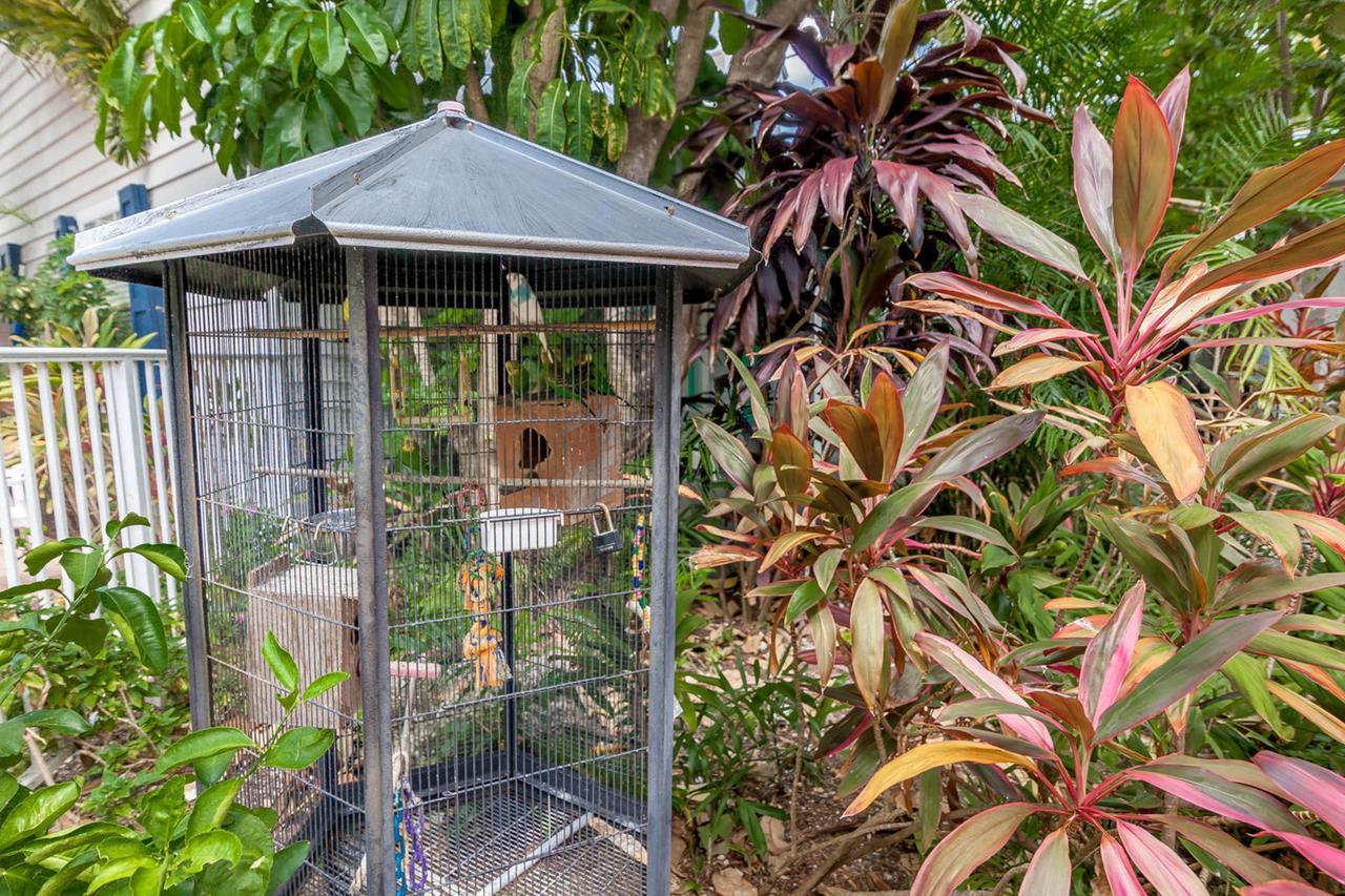 Old Town Garden Villas Key West Kamer foto